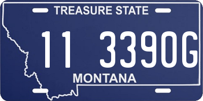 MT license plate 113390G