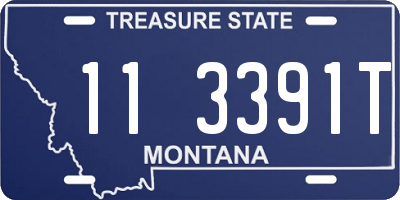 MT license plate 113391T