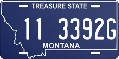 MT license plate 113392G