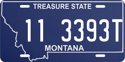 MT license plate 113393T