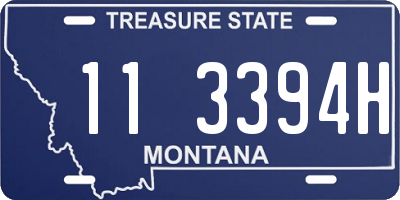 MT license plate 113394H