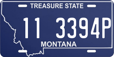 MT license plate 113394P