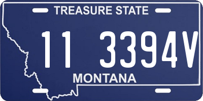 MT license plate 113394V