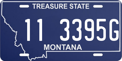 MT license plate 113395G