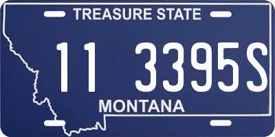 MT license plate 113395S
