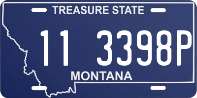 MT license plate 113398P