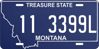 MT license plate 113399L