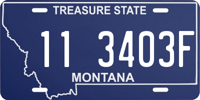 MT license plate 113403F