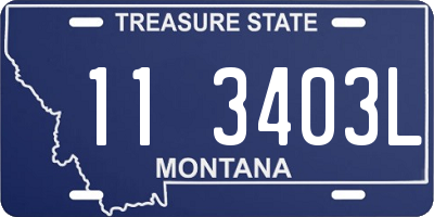 MT license plate 113403L