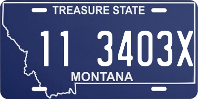 MT license plate 113403X