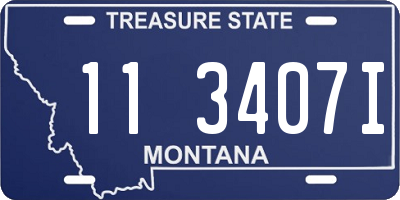 MT license plate 113407I