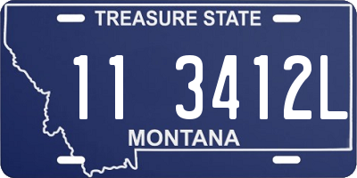 MT license plate 113412L