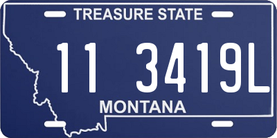 MT license plate 113419L