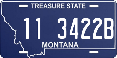 MT license plate 113422B