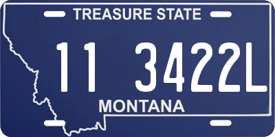 MT license plate 113422L