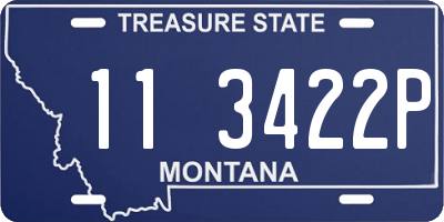 MT license plate 113422P