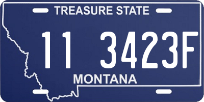 MT license plate 113423F