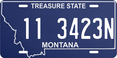 MT license plate 113423N
