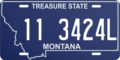 MT license plate 113424L