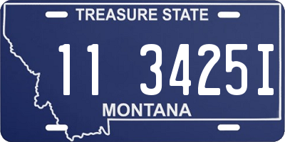 MT license plate 113425I