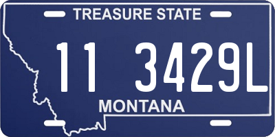 MT license plate 113429L