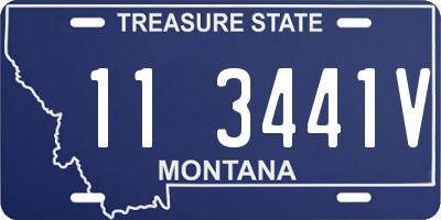 MT license plate 113441V