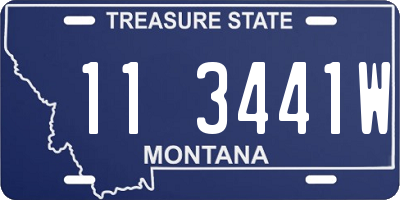 MT license plate 113441W