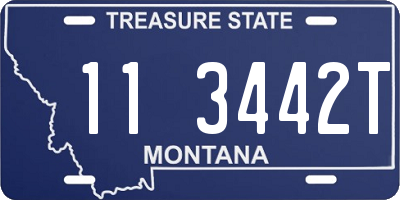 MT license plate 113442T