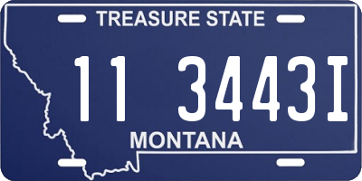 MT license plate 113443I