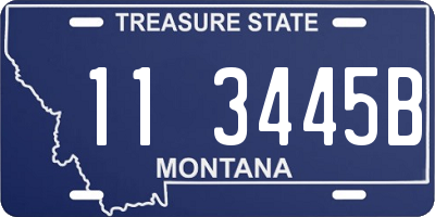 MT license plate 113445B