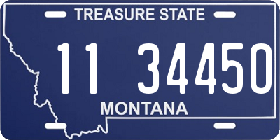 MT license plate 113445O