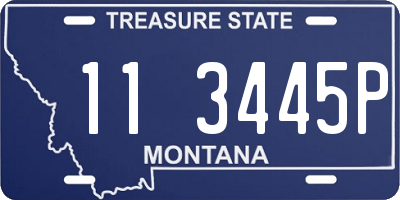 MT license plate 113445P