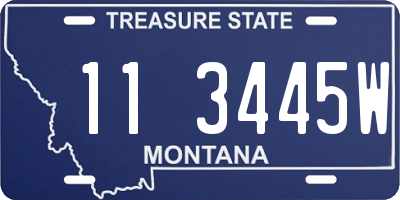 MT license plate 113445W