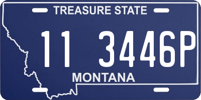 MT license plate 113446P