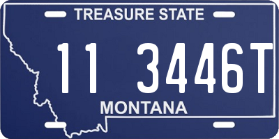 MT license plate 113446T