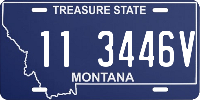 MT license plate 113446V