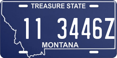 MT license plate 113446Z