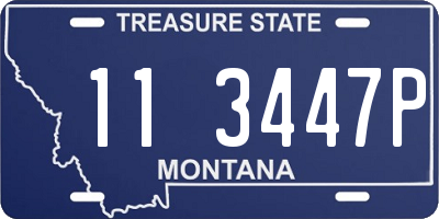MT license plate 113447P