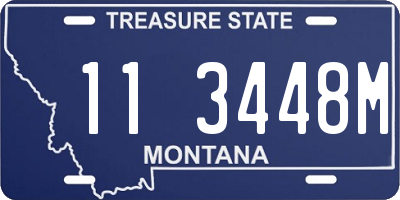 MT license plate 113448M