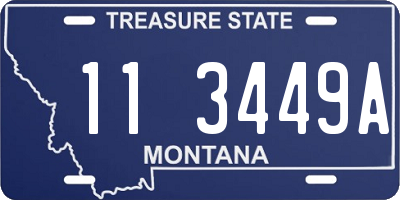 MT license plate 113449A