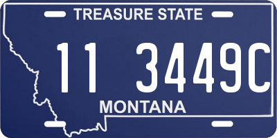 MT license plate 113449C