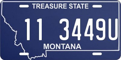 MT license plate 113449U