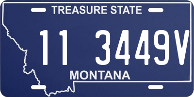 MT license plate 113449V