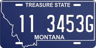MT license plate 113453G