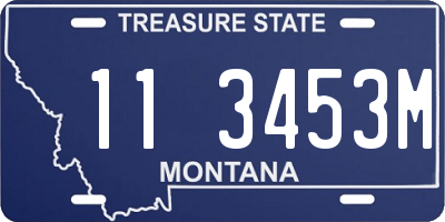 MT license plate 113453M
