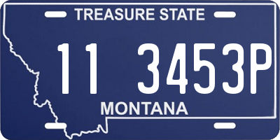 MT license plate 113453P
