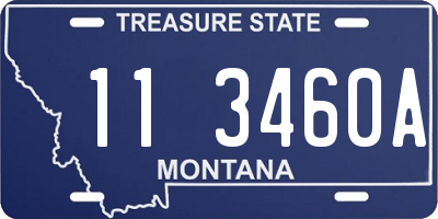 MT license plate 113460A