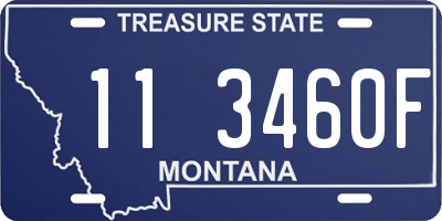 MT license plate 113460F