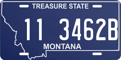 MT license plate 113462B