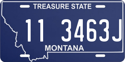 MT license plate 113463J